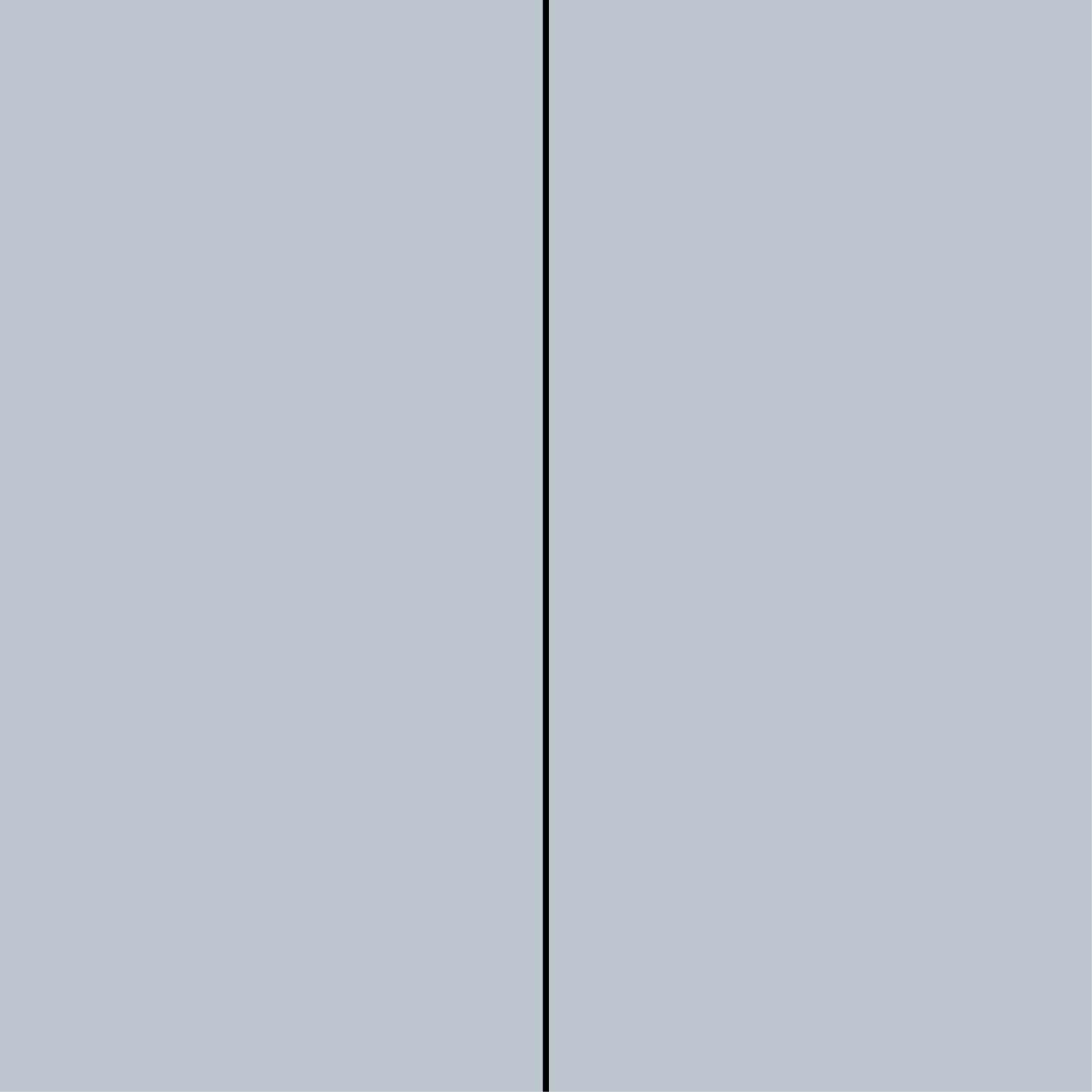 Silver-Silver